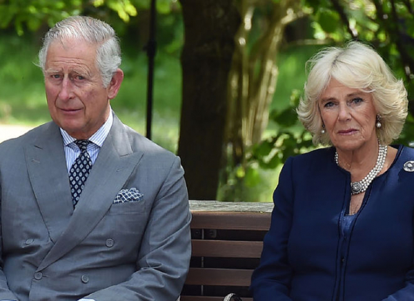 Короля Чарльза III и Камиллу-Паркер Боулз забросали яйцами: видео